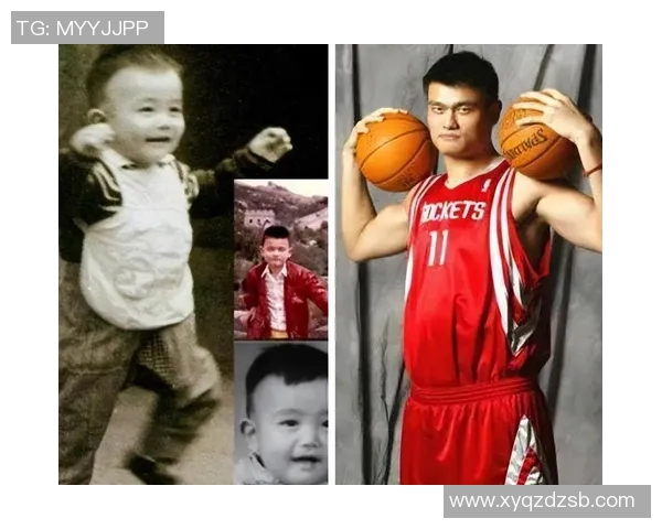 盼盼期待与姚明相见的温馨时刻与篮球梦想的交汇之旅